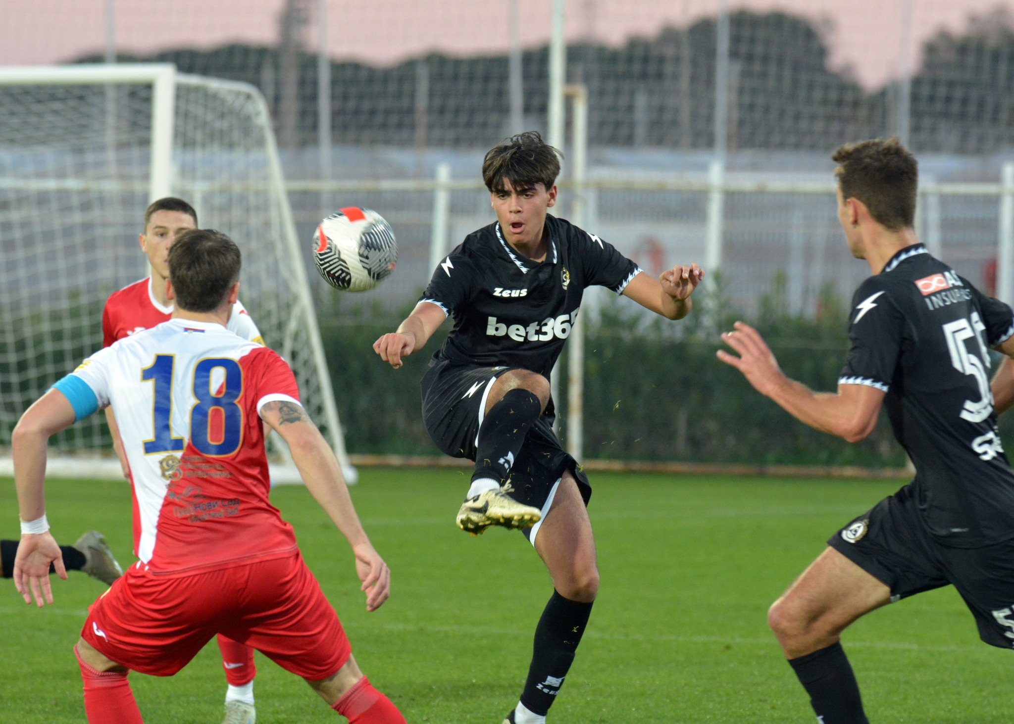 474104972 1394039881811851 6758683047042452694 N